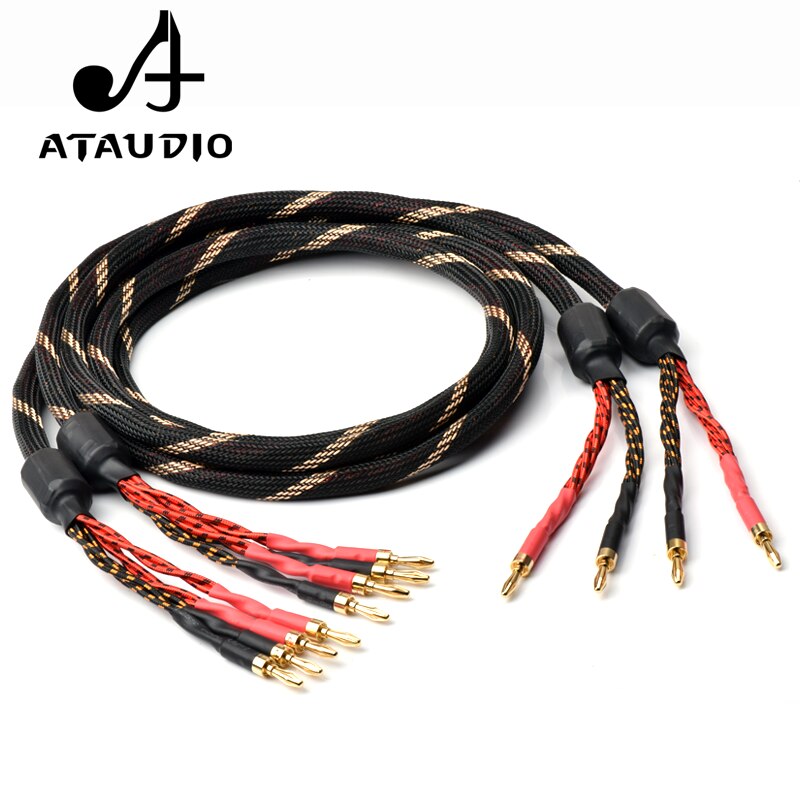 ATAUDIO-HIFI Ŀ ̺, ٳ ÷ 2   ǰ  -ٳ ÷ 4 